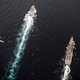 Illustration for article titled End Of The Ghetto Navy Is In Sight As Last USN Frigate Cruise Begins